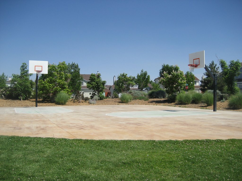 Baseball diamond shaped basketball court by blazeinfamous