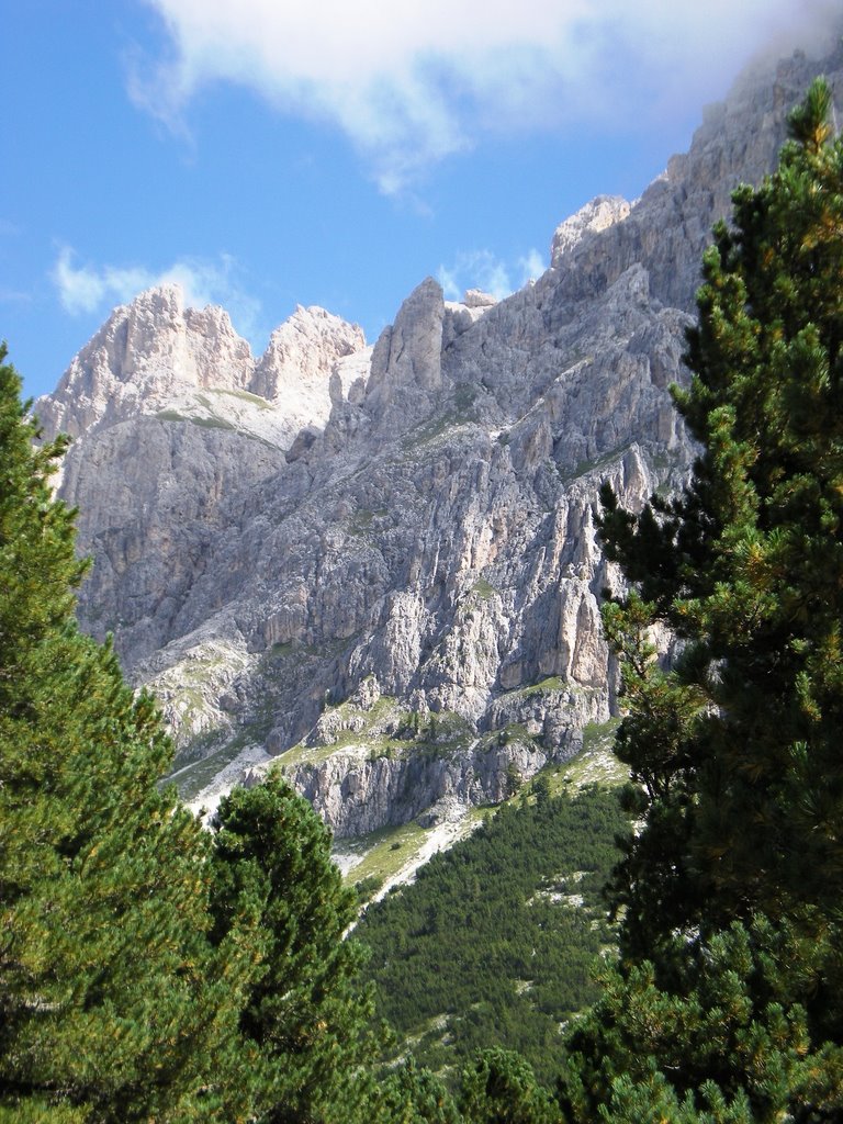 Dolomiti, Gruppo del Catinaccio by circech