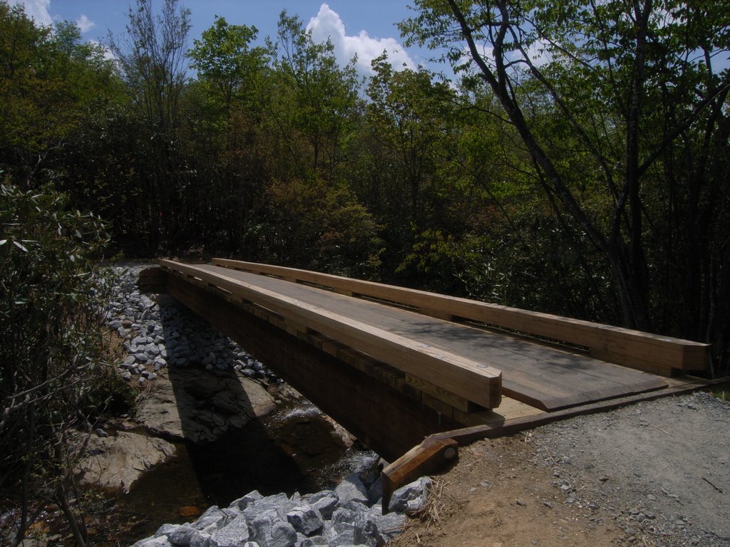 Footbridge (Gluelam Beams) over East Fork Pigeon River @ Graveyard Fields by Clifton Ogden