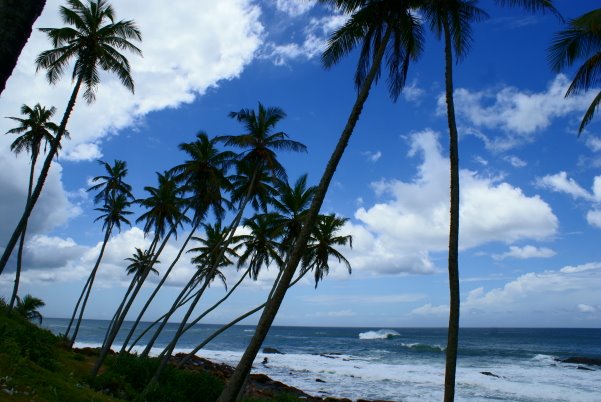 Dikwella beach [දික්වැල්ල වෙරළ] by Chandima Gunadasa