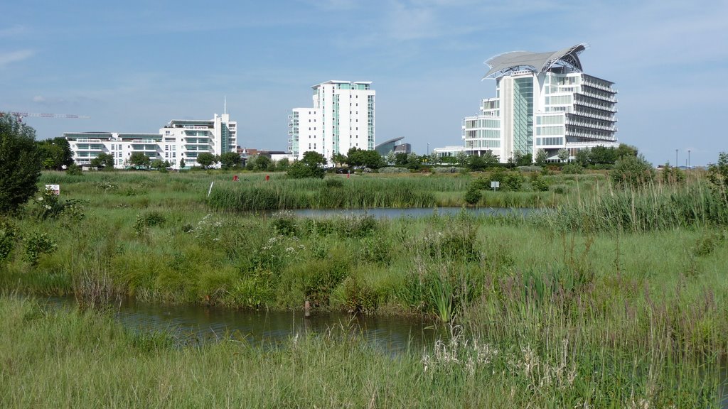 St Davids Hotel and Writer's Block! by welshcake