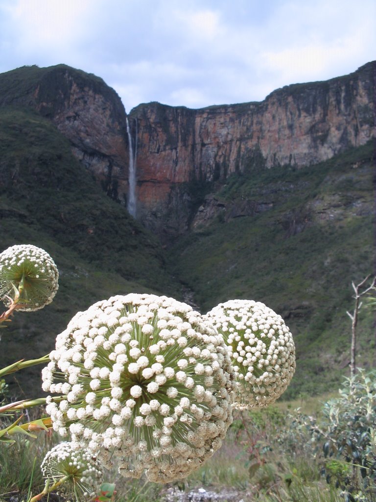 Cachoeira do Tabuleiro by Márcio Fortini