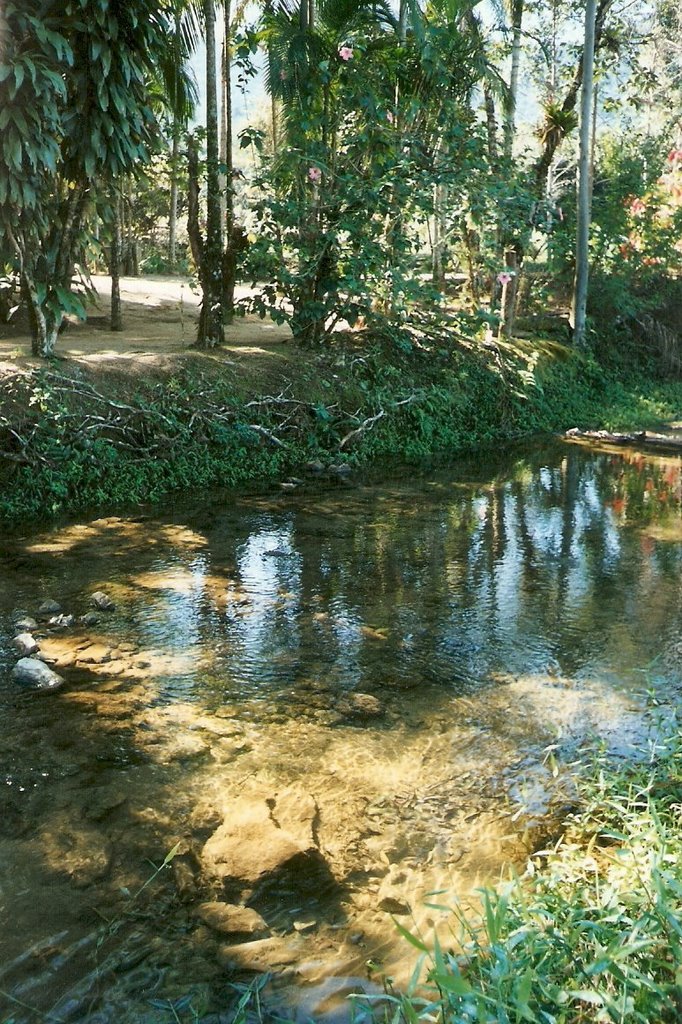 Estrada Bonita - Joinville/SC by saffis