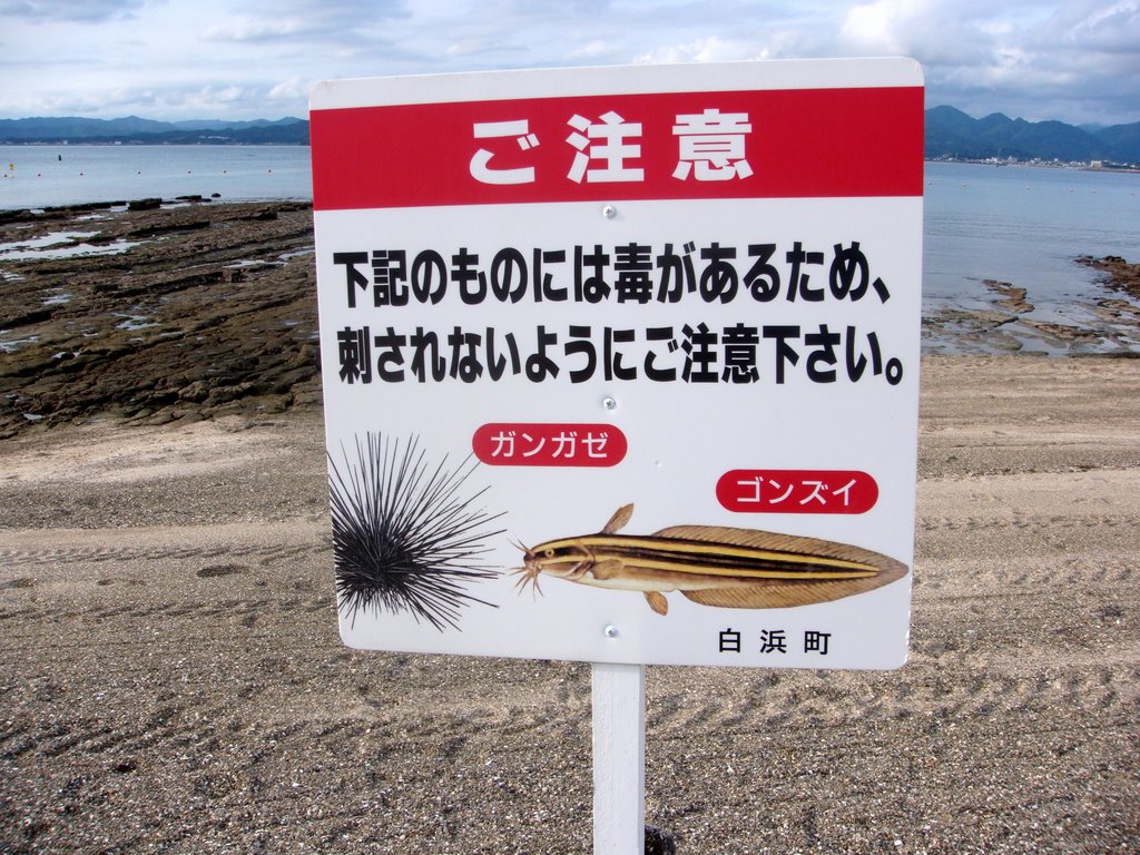 Shirahama Wakayama beach by annam973