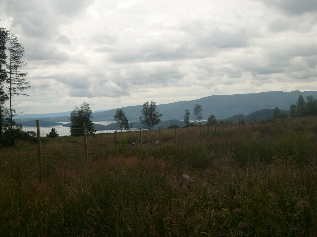 Loch Lomond Near Balmaha by dan kearney