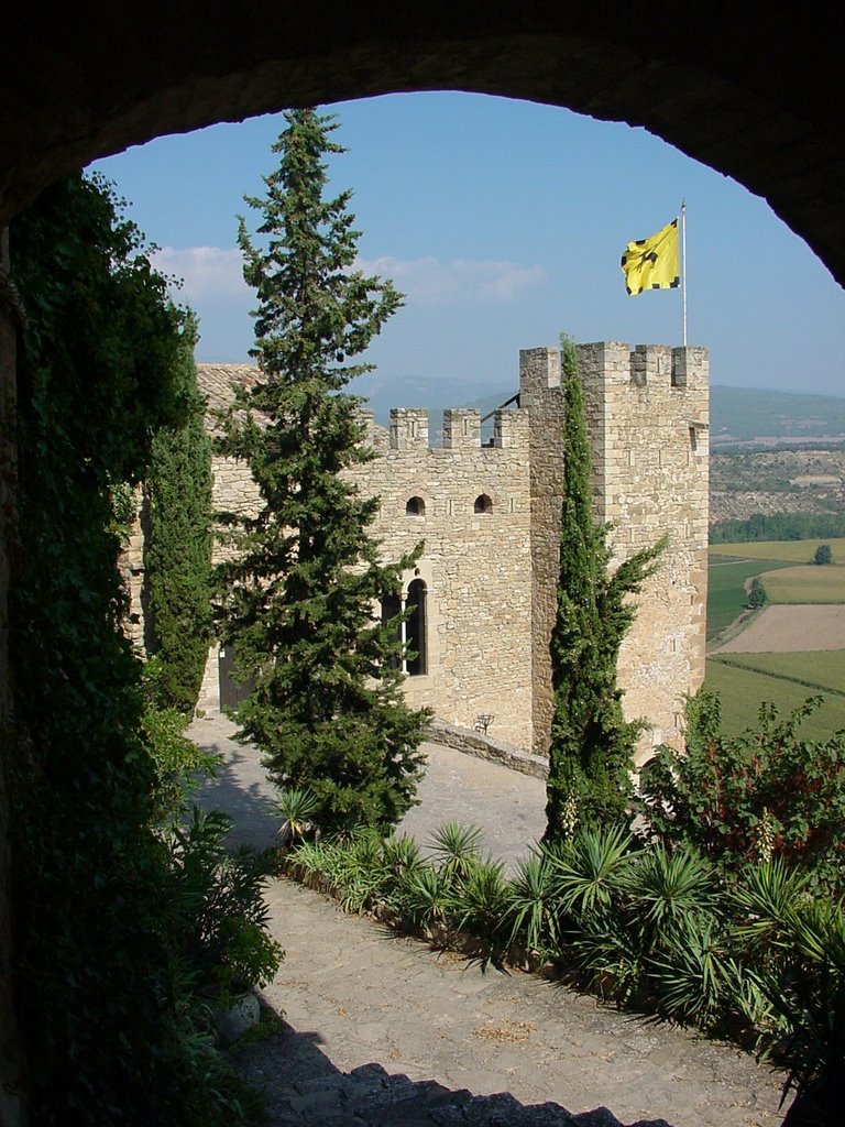 Castell de Montsonis by lorenzom