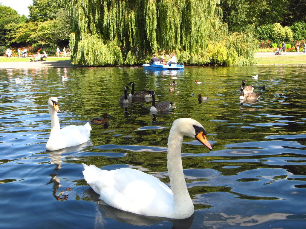 Regent's park by irishka_edwards