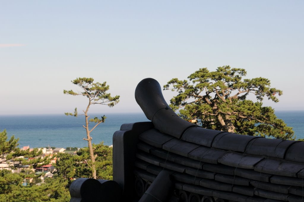 Odawara Castle: view from the top by annam973