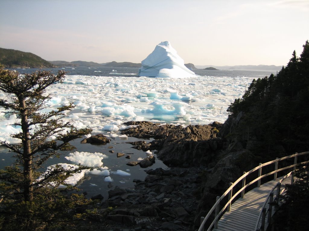 ICEBERG IN LEADING TICKLES by Ivan Arzate