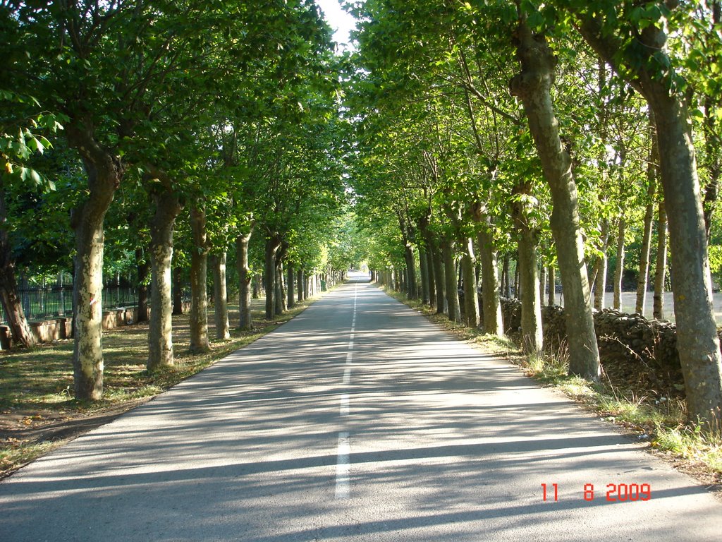 Carretera en ezcaray by gonzalo_