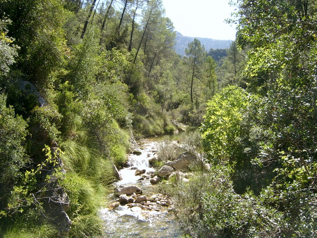 RIO BOROSA EN LA CERRADA DE ELIAS by antonio parri