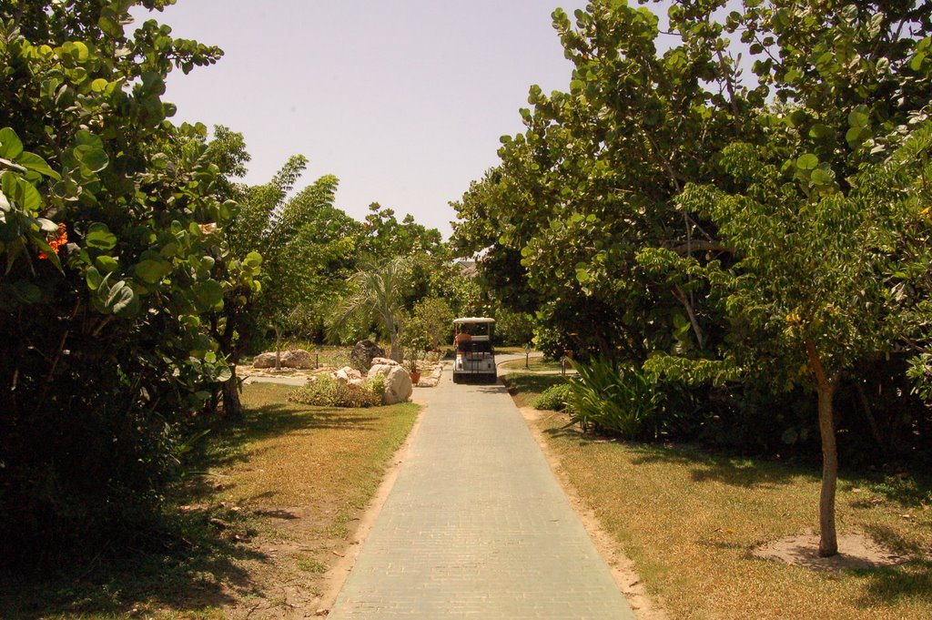 Unnamed Road, Cuba by Eric Marshall