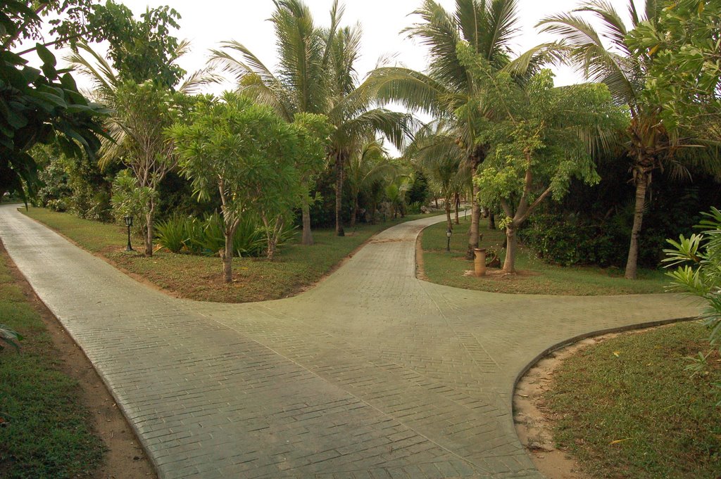 Unnamed Road, Cuba by Eric Marshall