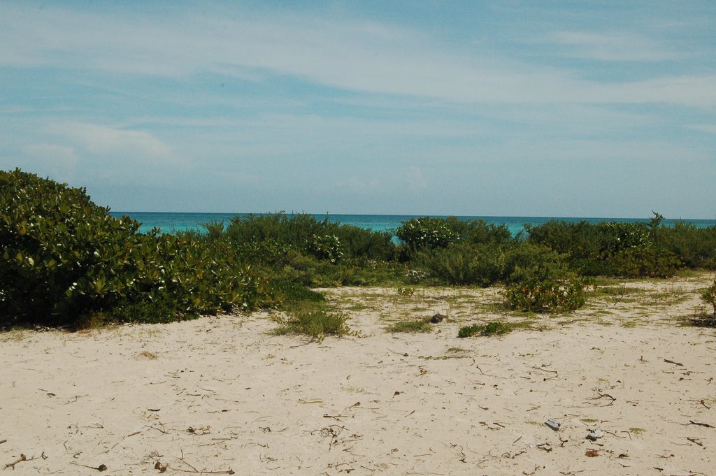 Unnamed Road, Cuba by Eric Marshall