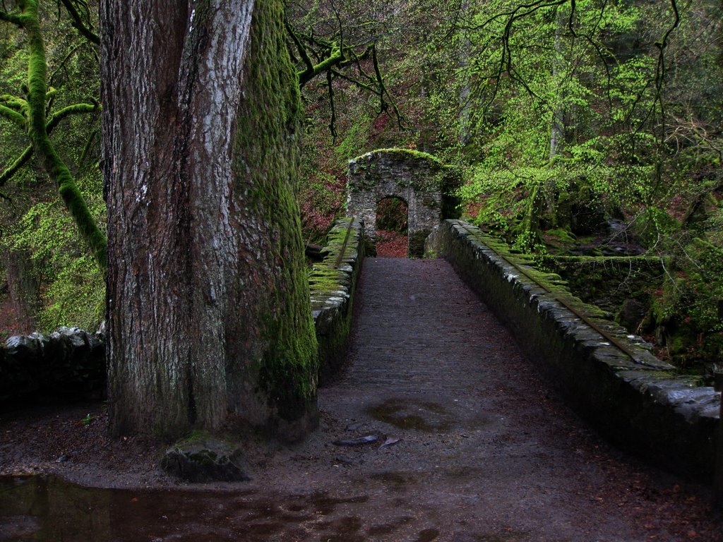 Bridge at Black Linn falls by Andrew