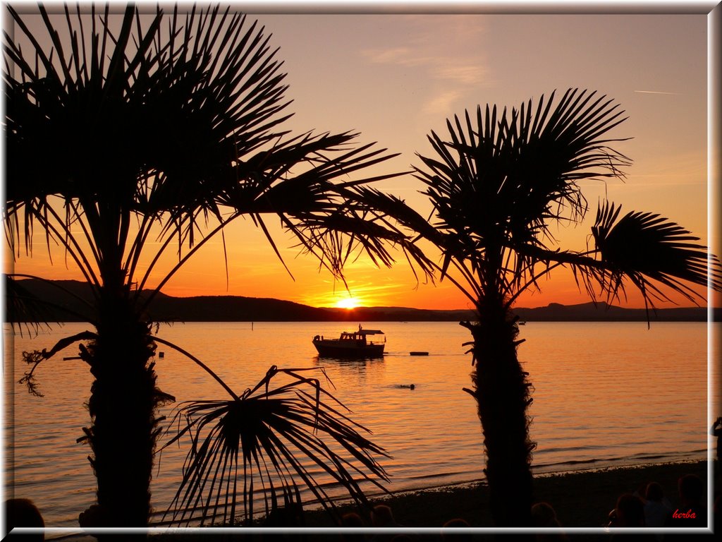 Abendstimmung auf der Insel Reichenau im Bodensee by herba