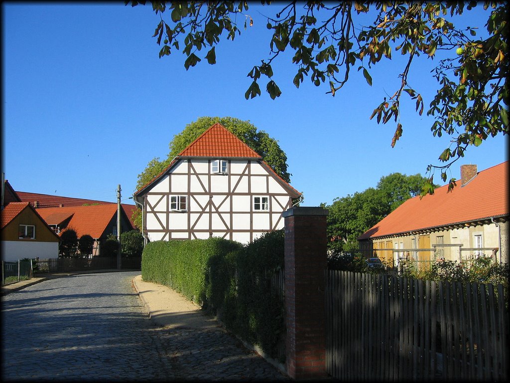 KopfsteinPflasterStolperSteine - Wülperode - 010909 by karovien