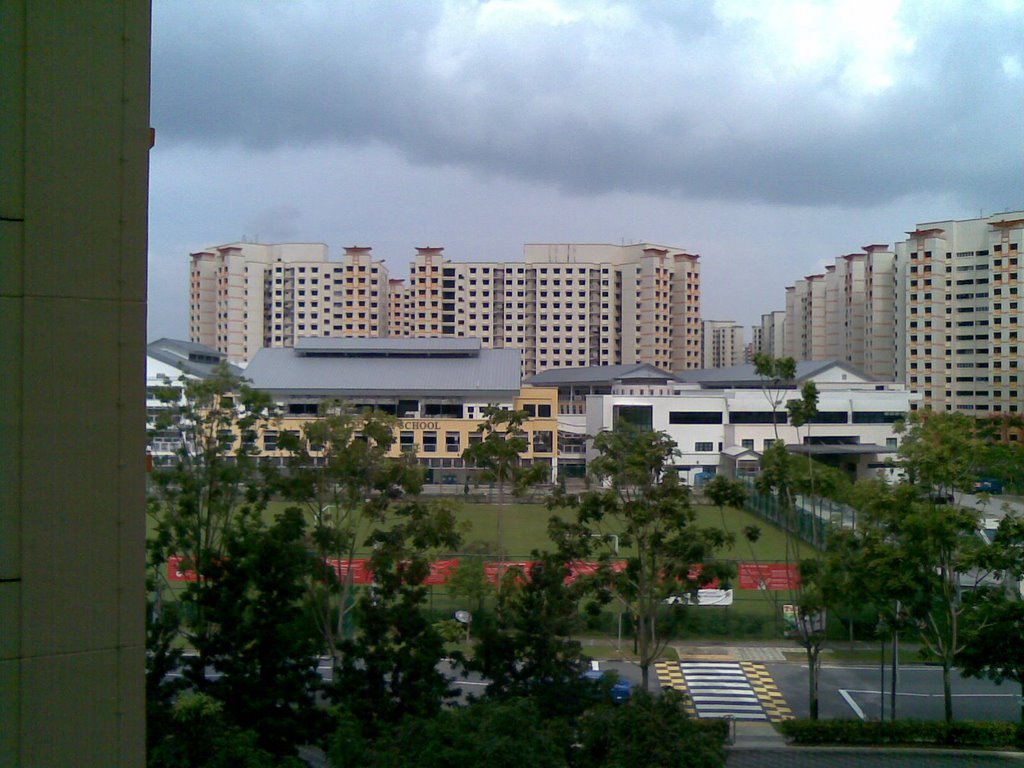 Nan Chiau High School field by lancerjttky