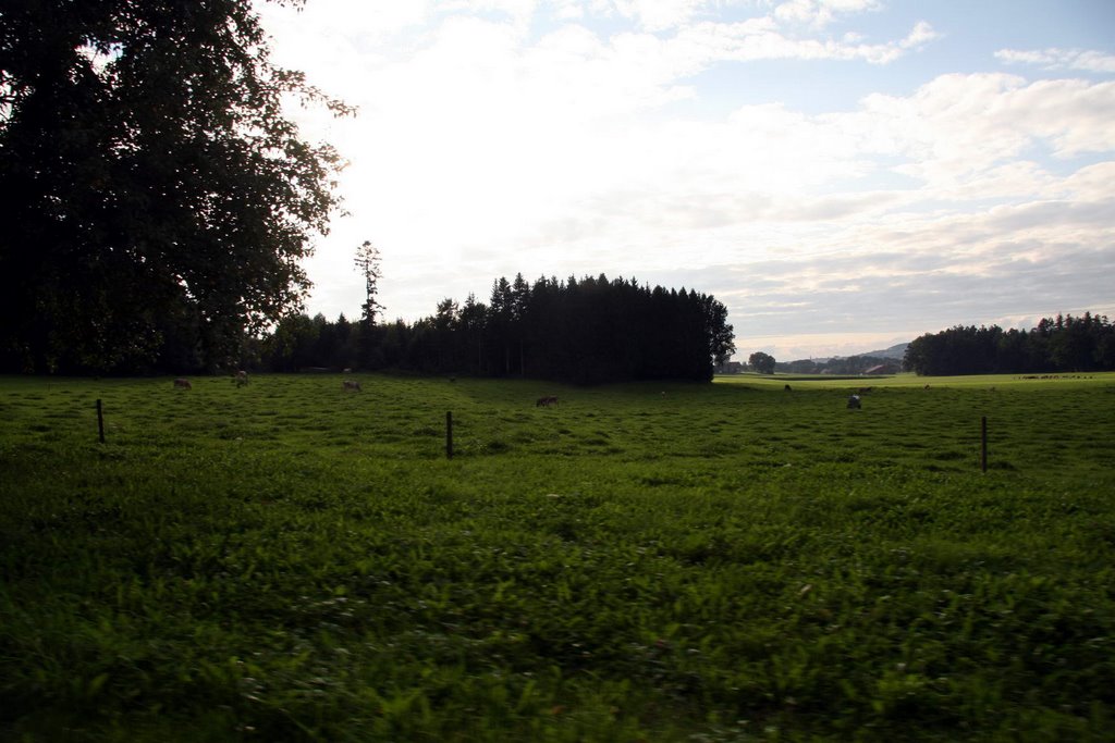 Landschaft von der Sandbüelstrasse by vodua