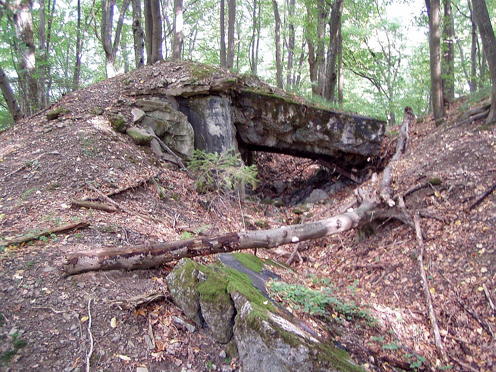 Bunker. Arpad line by Slobodsky