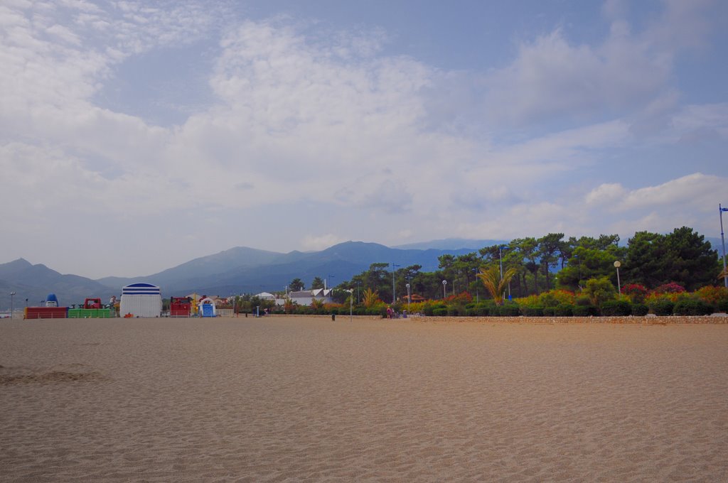 66700 Argelès-sur-Mer, France by Cheikh-Aissa Ali