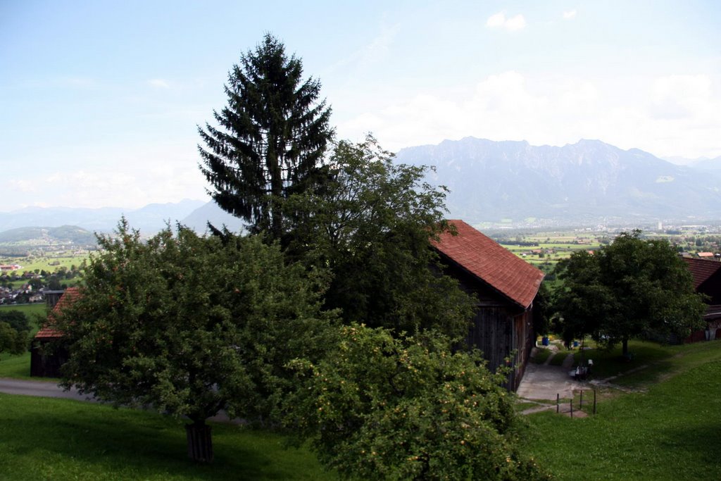 Haus an der Wildhauserstrasse by Samuel Fausch