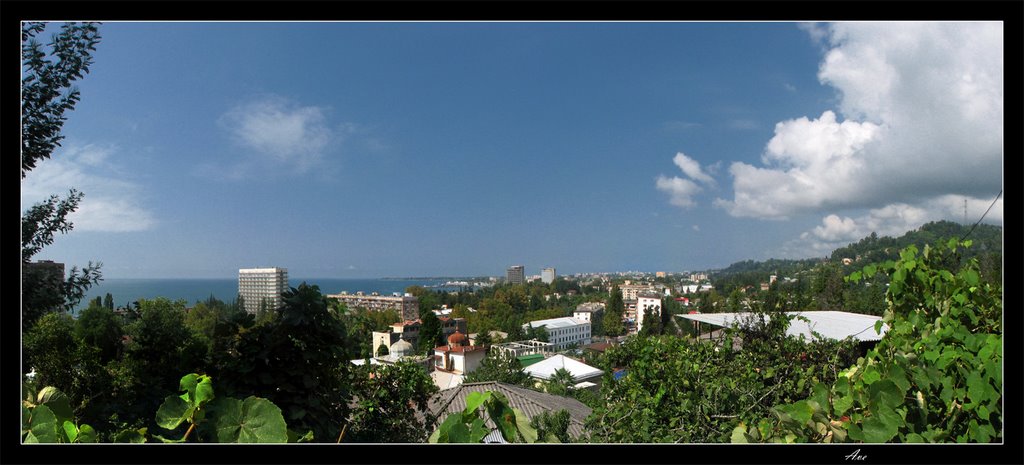 Abkhazia. Sukhumi. Panorama of a city from Bagrat's lock. by Andrey EFIMOVSKY