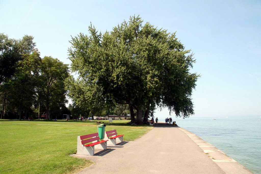 Seepromenade in Arbon by vodua