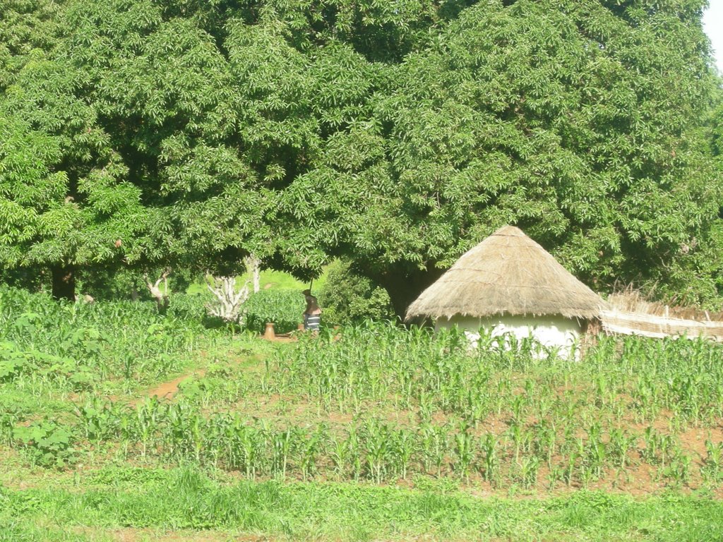 Kalde - Salemata Rd, Senegal by Gemma Camps