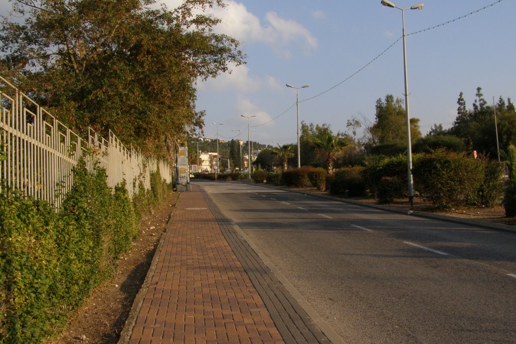 Afula, Israel by maxzbr