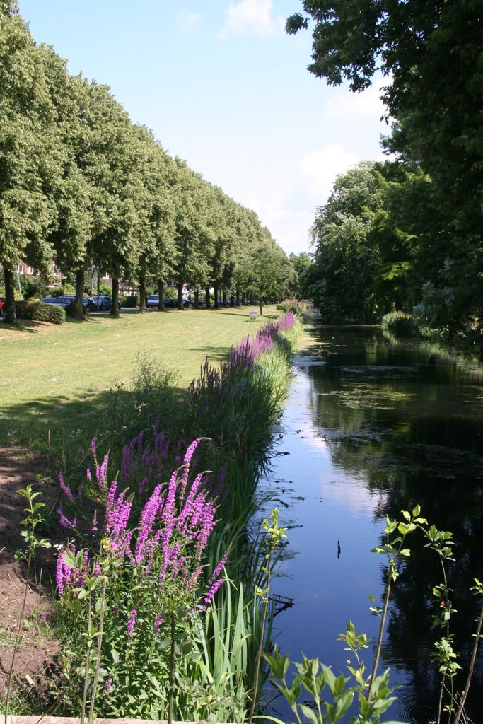 Bloemen en groenstrook aan de Kardinaal de Jongweg by Carl030nl