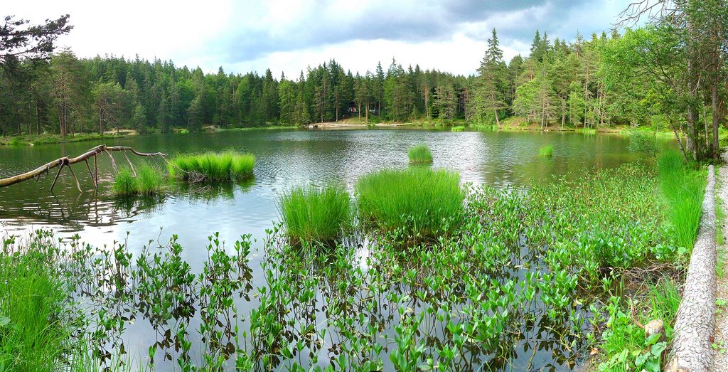 Möserer See in Telfs-Mösern, nähe Seefeld, Tirol by lukasino1