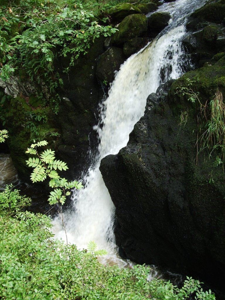 Upriver from Aria Force by Andrew Davis