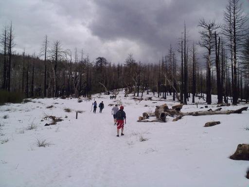 Hiking Cuyamaca Peak - April 2009 by Russell Stippey