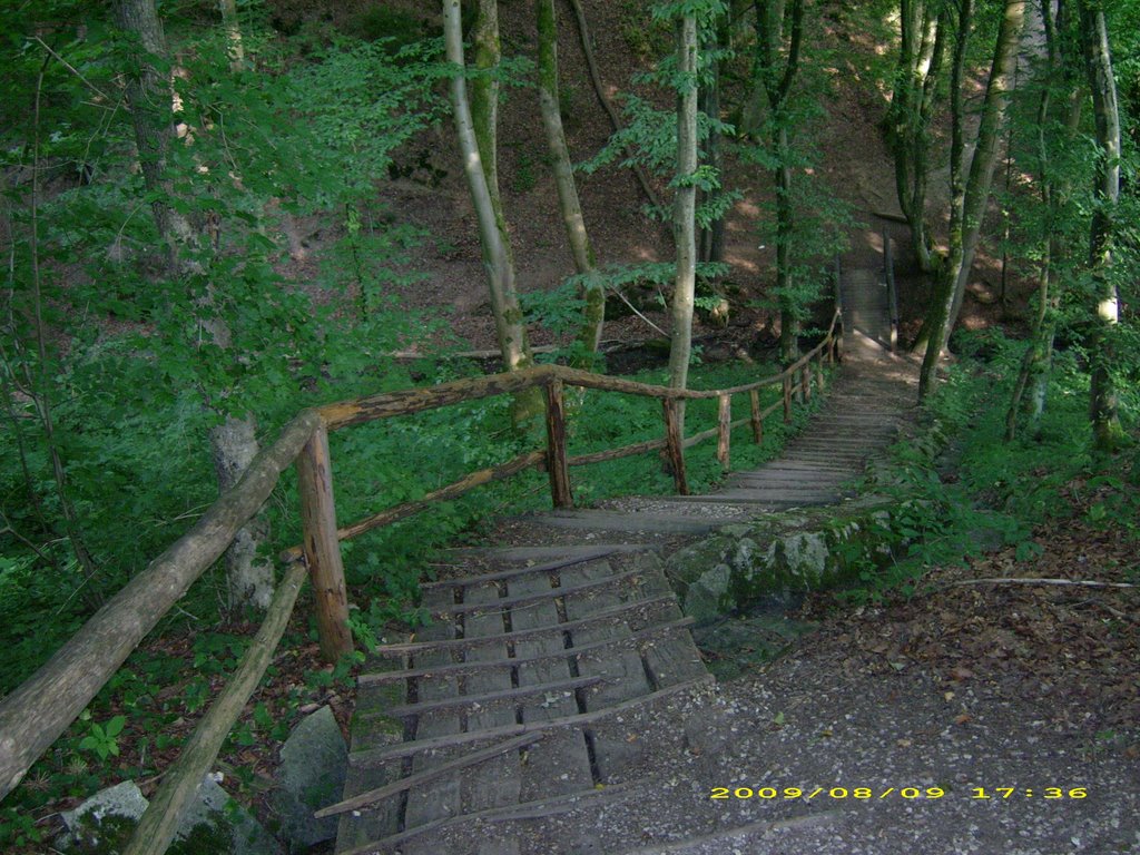 Treppe zur Schlucht by K-Heinz