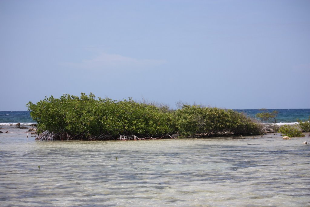 From the Sandals Cay Island sight by Roberto Lam