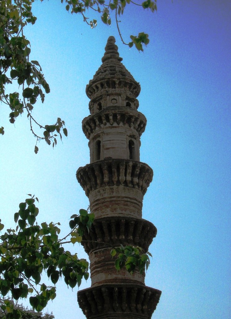 The Hanging Minars, Ahmedabad by Hemant Shesh