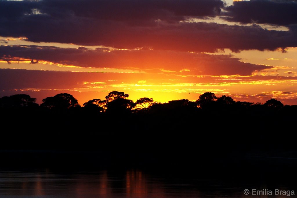 Dawn on Rio das Mortes, Mato Grosso, Brazil by Emilia Braga