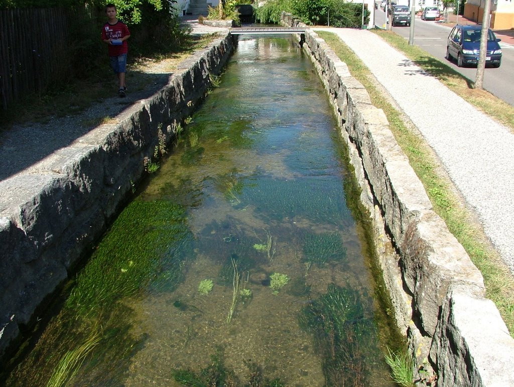 Günzkanal by Mayer Richard