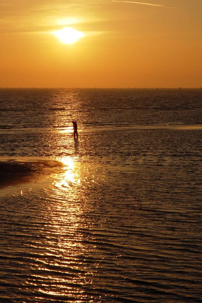 Laguna gradese al tramonto by Alessandro Tavella