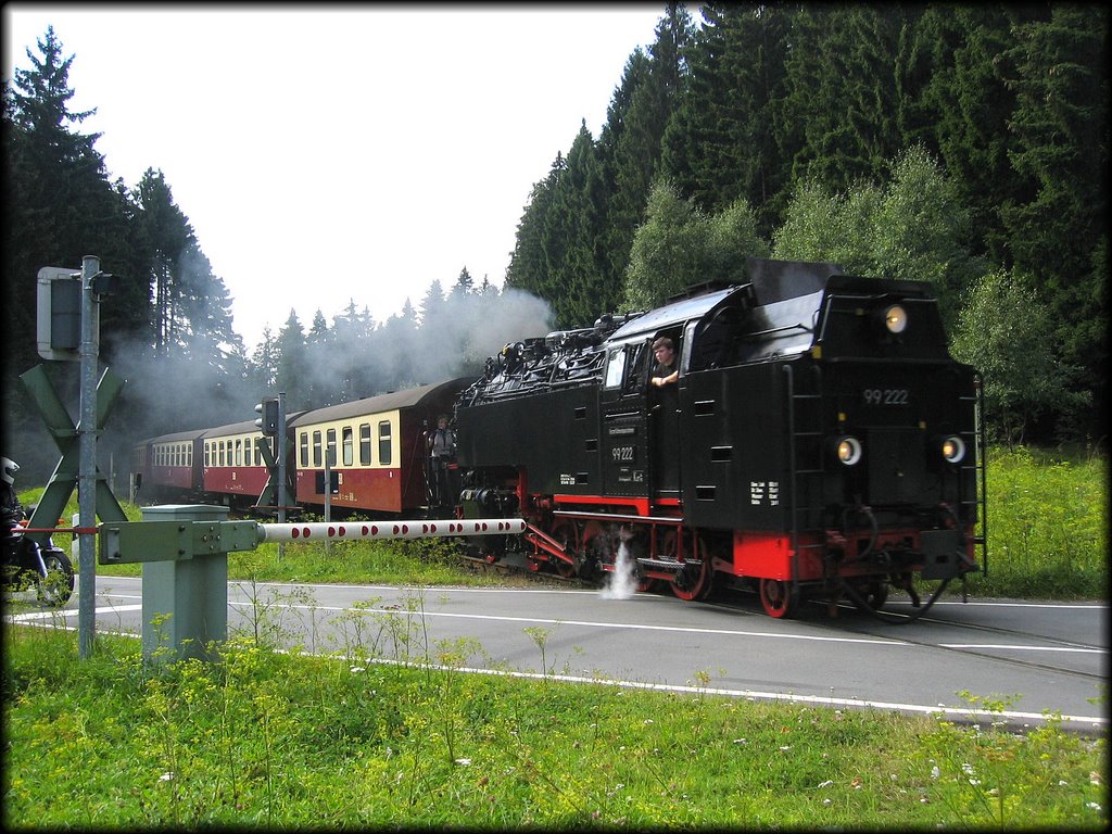 HBS - von Schierke im RueckwaertsLauf auf DAHohne - the HSB-railway comes back from the high mountain - 020909 by karovien