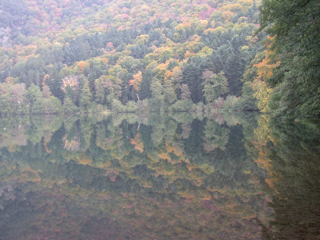 MONTICCHIO LAGHI - IL BOSCO IN AUTUNNO by mr_archos