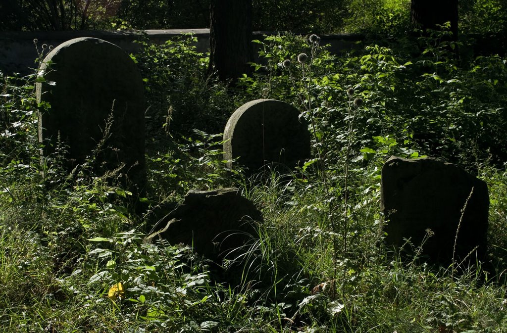 2009 08 30 Ożarów Jewish cemetery (Hebr. בית עלמין "Beth Olamin", Pol. kirkut) by Rumpelstiltskin