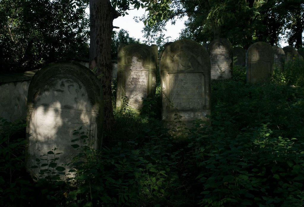 2009 08 30 Ożarów Jewish cemetery (Hebr. בית עלמין "Beth Olamin", Pol. kirkut) by Rumpelstiltskin