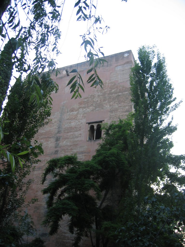 Torre de la Alhambra by Quino Cascorro