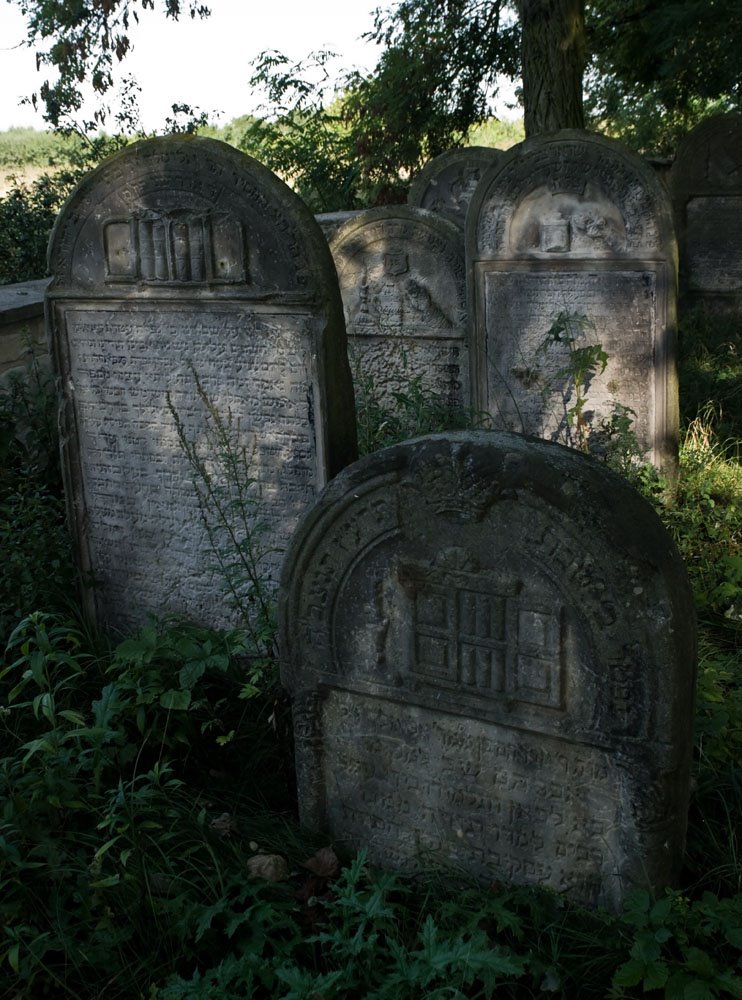 2009 08 30 Ożarów Jewish cemetery (Hebr. בית עלמין "Beth Olamin", Pol. kirkut) by Rumpelstiltskin