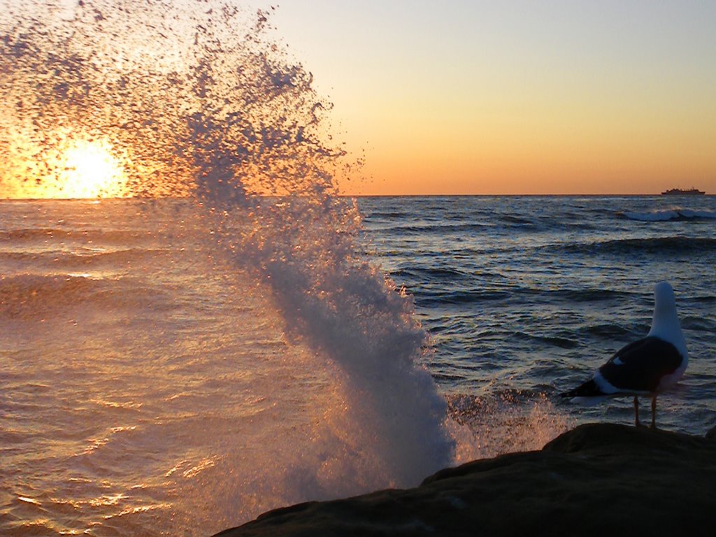 Sunset Cliffs by The SZ