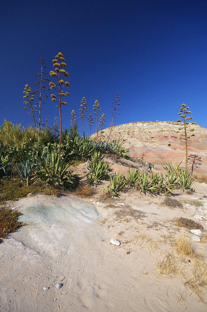 Praia da Luz by Frédéric BAUDOUIN