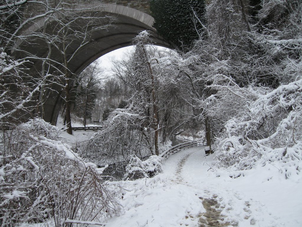 Rock Creek in Winter by sweiss77