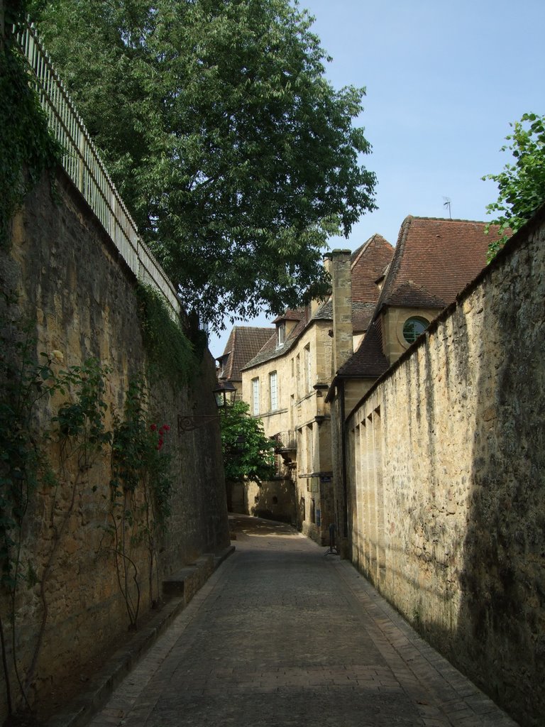 Walled Street by Alan L.